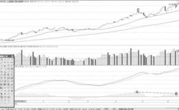 MACD柱状线高位背离形态分析运用