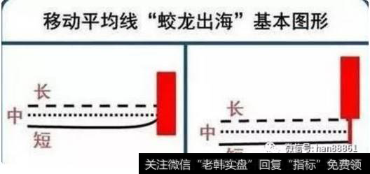 蛟龙出海基本图形