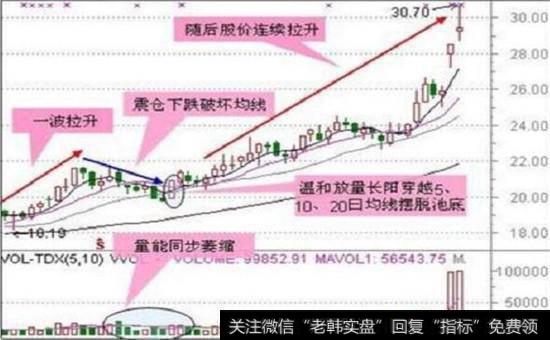 “池底巨龙”股票图