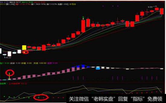 “抄底虎头”庄加仓图
