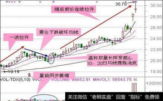 池底巨龙股票图