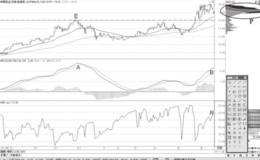 高浮筹阶段MACD背离形态分析及运用