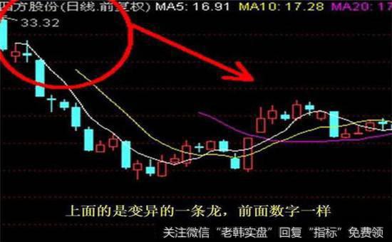 变异一条龙数字走势图