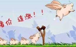 叶檀谈股市:通胀！！！一个月暴涨20% 猪价上天了！