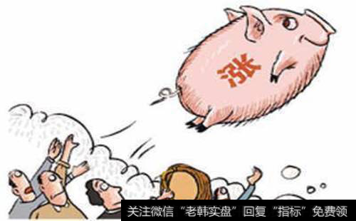 生猪是什么？