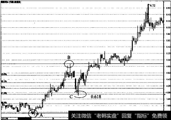 菲波纳奇分割线