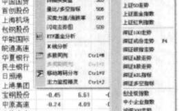 什么是<em>分时图分析</em>法？