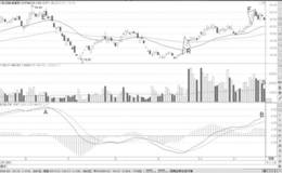 缩量与MACD顶背离形态分析运用