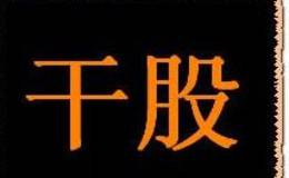 干股有什么性质?成立需要什么条件?都有哪些应用?