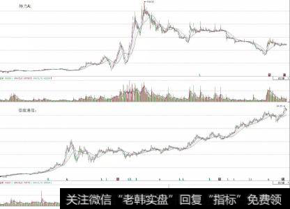 什么是公司基本面？如何运用公司基本面分析进行选股？