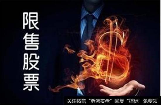 限售股限售期限可办理质押