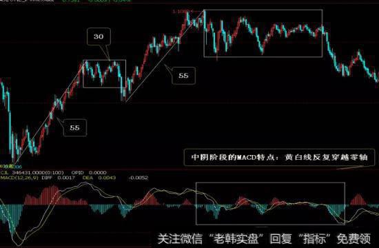 中枢震荡了30周