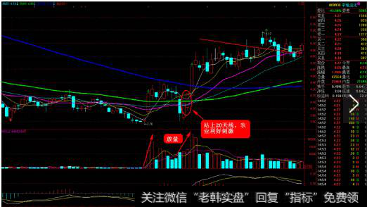 000930 中粮生化 2012年10月——2013年1月