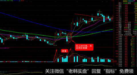 000930 中粮生化 2012年10月——2013年1月