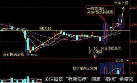 该股总体下跌24%后，形成“V型反转”看涨形态