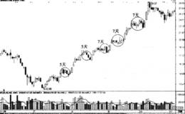 <em>股市趋势技术分析</em>时间止损法