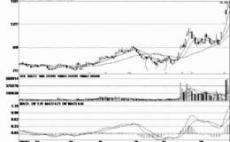 低价区域的长上下影线阴线形态分析运用
