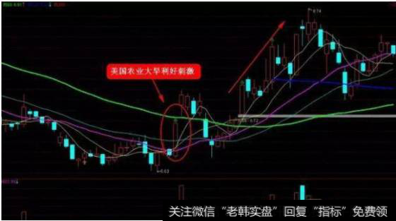 敦煌种业，2012年6月——9月