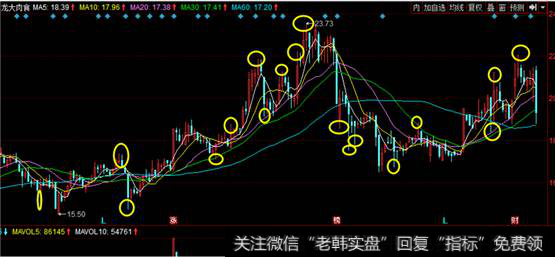 龙大肉食K线走势图