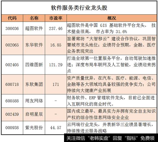软件服务类<a href='/smngzf/224602.html'>行业龙头股</a>