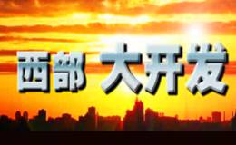 西部开发概念龙头股 西部开发概念股  西部开发概念股一览