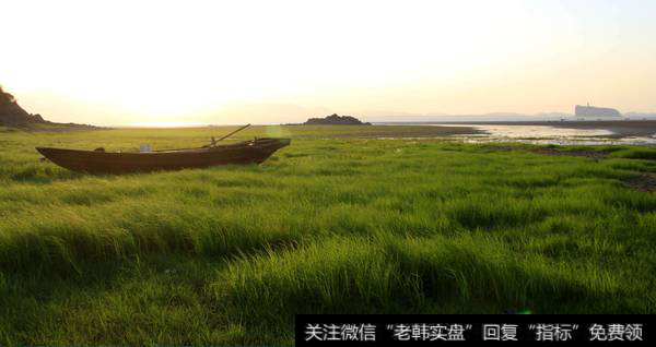 成泉系甩货3亿,欢乐海纳岸卖出8500万