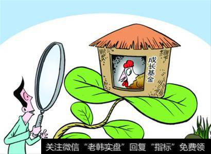 成长股的特点有什么？