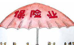 巴菲特一九七九年的年度报告之保险业