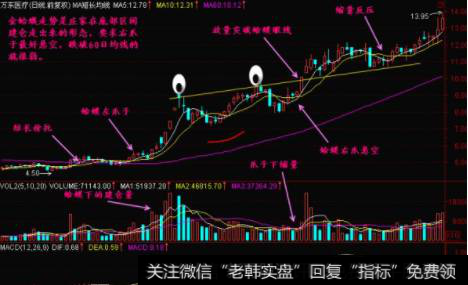 真假金蛤蟆的标志是右爪子是否悬空