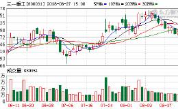 三一重工上半年净利大增 证金继续增持