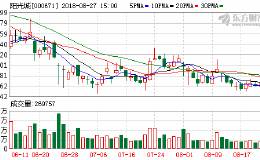阳光城负债2100亿资金紧张 华夏人寿三资金惨遭套牢