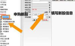 如何申购新股？如何查询新股是否中签？