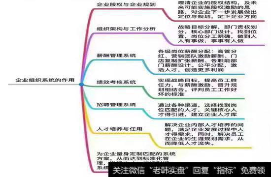 长松组织系统的作用