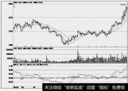 武汉健民(600976)