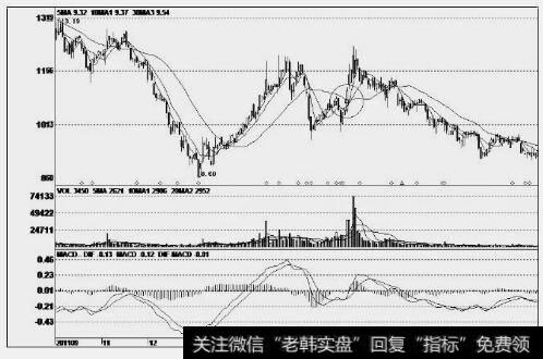 大西洋(600558)