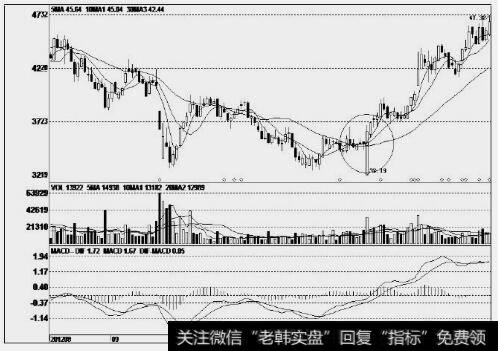 汤臣倍健(300146)