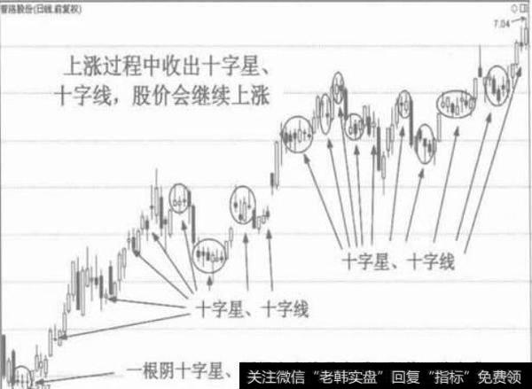 普洛股份（2）