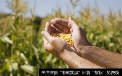 玉米种子环境边际改善,玉米种子题材<a href='/gainiangu/'>概念股</a>可关注