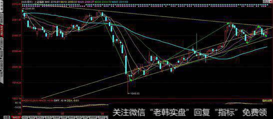 形态具有的特征