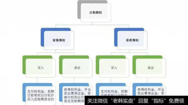 图2 豆粕期权的权利与责任