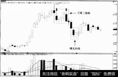 银鸽投资600069