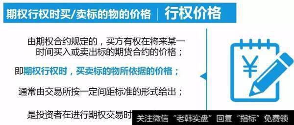 权利金的高低