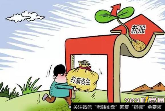 新手如何打新股