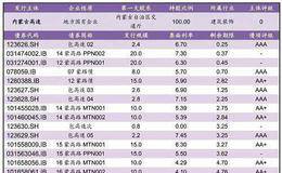 短期融资券的发行流程和特征