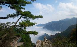 龙虎榜：佛山佬5000做T乐视网；金田路大买<em>炼石有色</em>