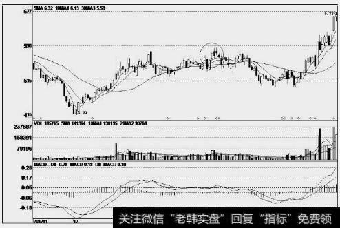 金亚科技(300028)