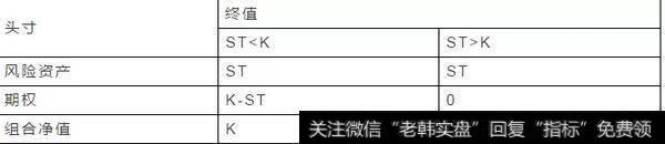 表（1）保护性股票组合终值