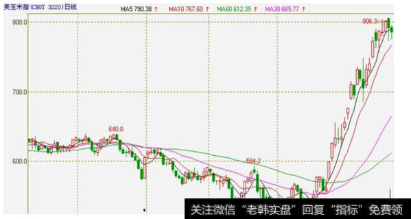 图8-11  美玉米指的价格走势