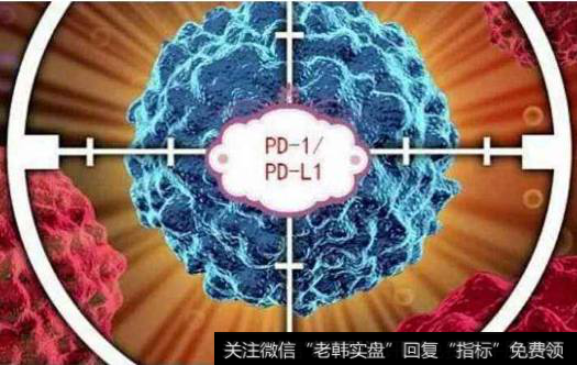 诺贝尔生理学奖公布癌症免疫治疗受关注,癌症治疗题材<a href='/gainiangu/'>概念股</a>可关注