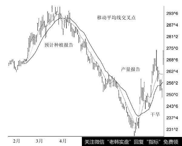 图4-1　玉米价格走势图